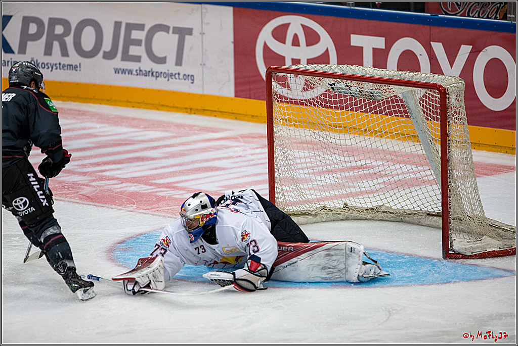 Koelner Haie - EHC Red Bull Muenchen , 16.09.16(KW37)